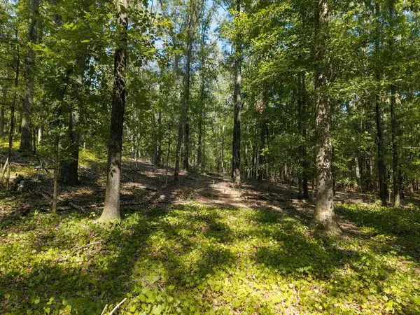 TBD Sissell Street, Water Valley, MS 38965