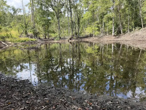 TBD County Road 15, Water Valley, MS 38965