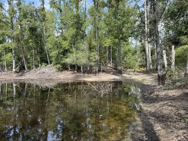 TBD County Road 15, Water Valley, MS 38965
