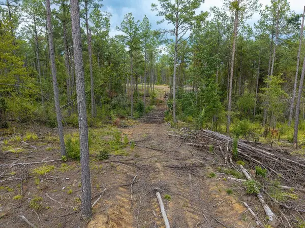 5457 County Road 222, Coffeeville, MS 38922