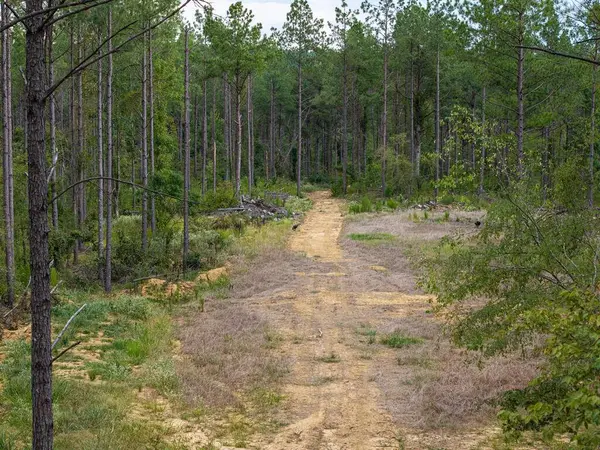 5457 County Road 222, Coffeeville, MS 38922