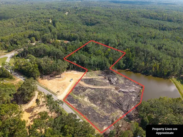 TBD County Road 220, Water Valley, MS 38965