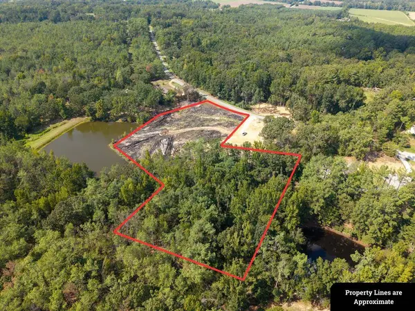 TBD County Road 220, Water Valley, MS 38965