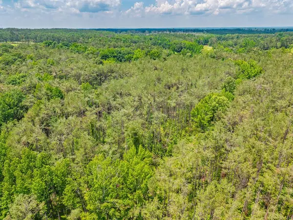 TBD County Road 224, Water Valley, MS 38965