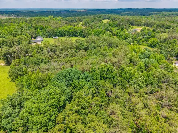 TBD County Road 224, Water Valley, MS 38965