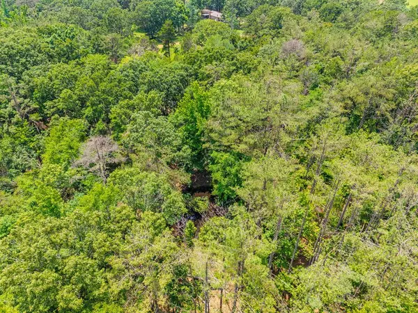 TBD County Road 224, Water Valley, MS 38965