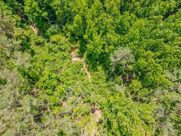 TBD County Road 224, Water Valley, MS 38965