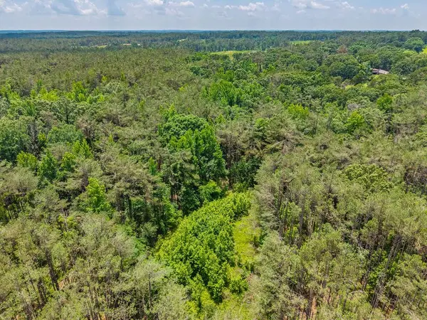 TBD County Road 224, Water Valley, MS 38965