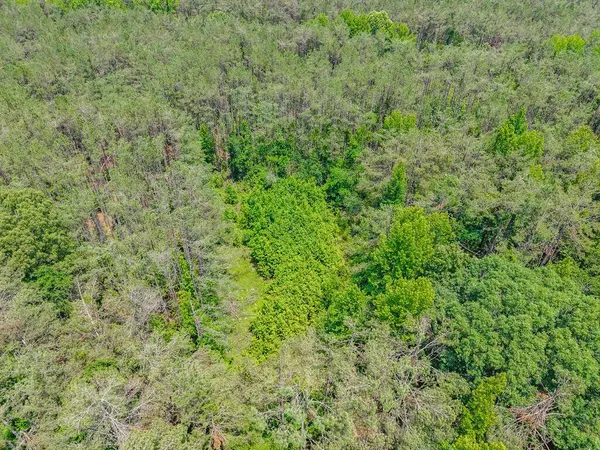 TBD County Road 224, Water Valley, MS 38965