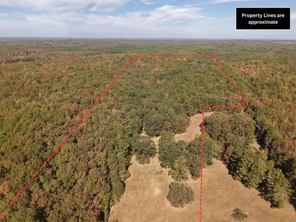TBD Highway 315, Water Valley, MS 38965