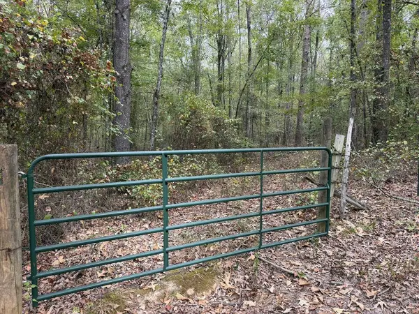 TBD Highway 315, Water Valley, MS 38965