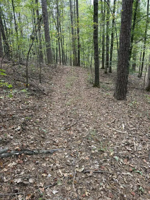 TBD Highway 315, Water Valley, MS 38965