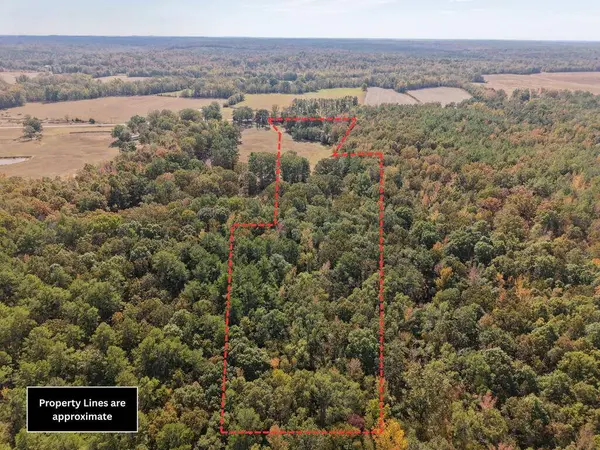 TBD Highway 315, Water Valley, MS 38965