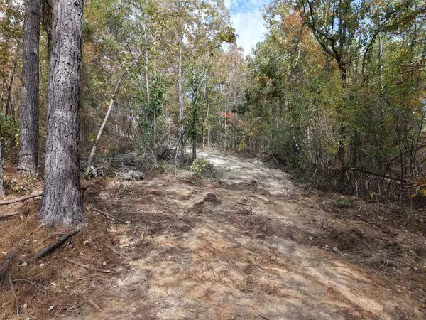 TBD County Road 2005, Etta, MS 38627
