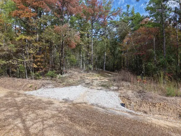 TBD County Road 2005, Etta, MS 38627