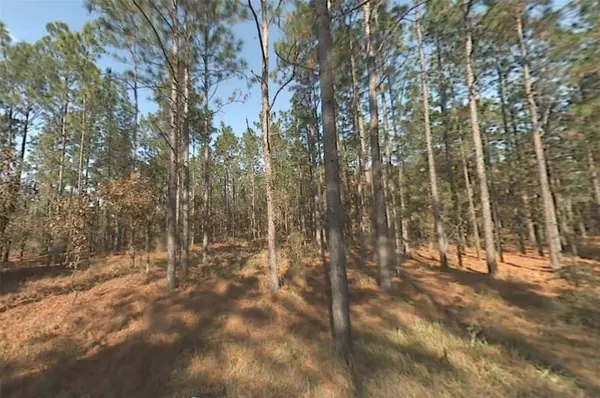 00 SW 39TH ST, Dunnellon, FL 34432