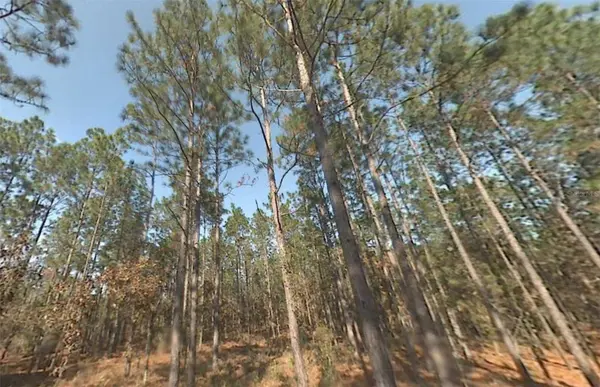 00 SW 39TH ST, Dunnellon, FL 34432