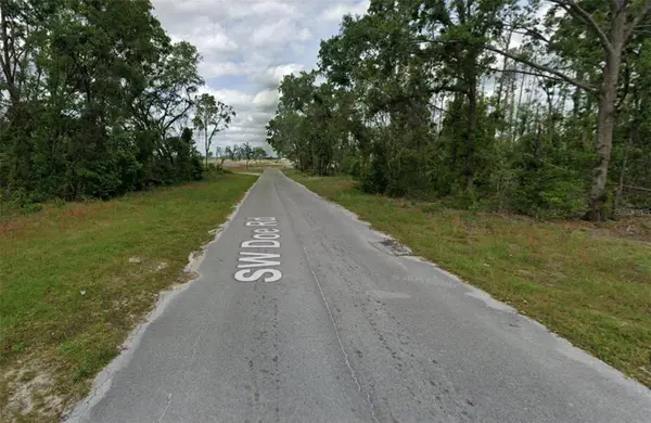 00 SW DOE RD, Mayo, FL 32066