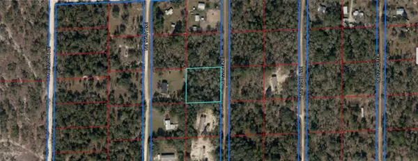 00 NE 122ND AVE, Williston, FL 32696