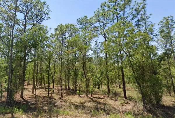 00 NW NARCISSUS RD, Dunnellon, FL 34431