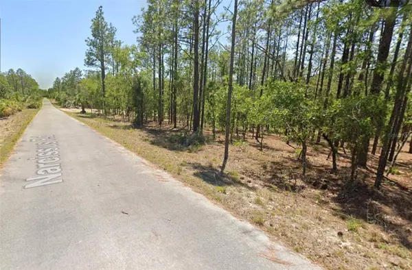 00 NW NARCISSUS RD, Dunnellon, FL 34431