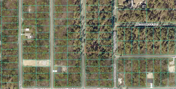00 NW NARCISSUS RD, Dunnellon, FL 34431
