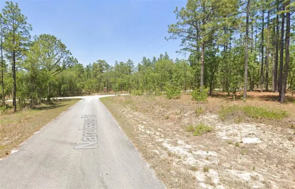 00 NW NARCISSUS RD, Dunnellon, FL 34431