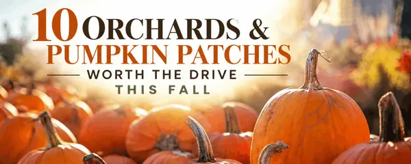 10 Orchards & Pumpkin Patches Worth the Drive,Jeff Zuelke