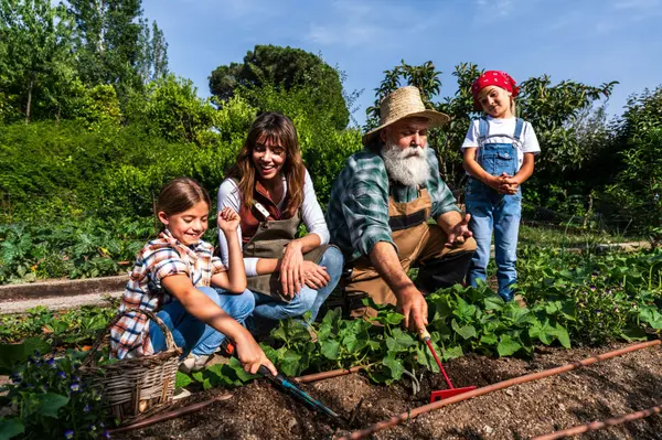 Laquita Madison Realtor (1)