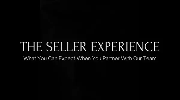 The Seller Experience