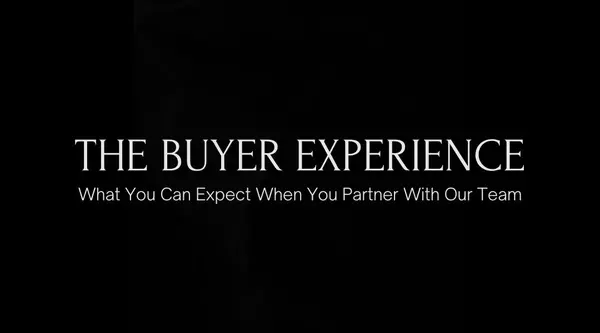 feature image of The Buyer Experience