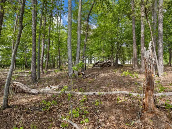 121 Shore VIS, Greer, SC 29651