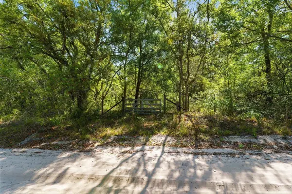 COYOTE RD, Hudson, FL 34669