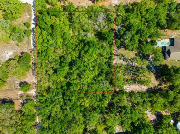 COYOTE RD, Hudson, FL 34669