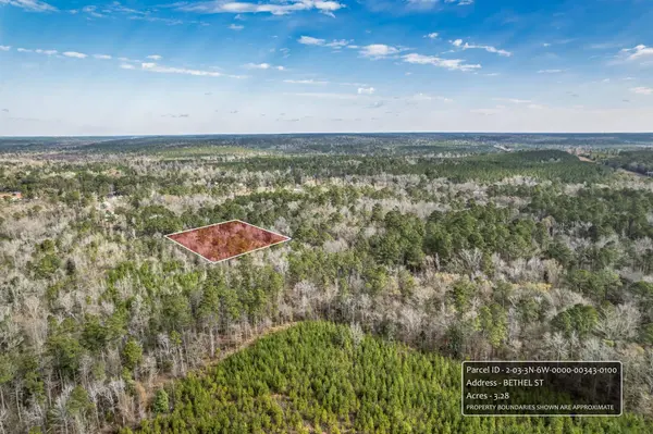 0 Bethel Street, Chattahoochee, FL 32324