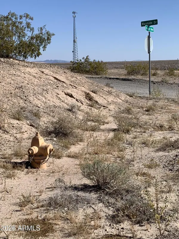 31251 WAYSIDE Drive #-, Parker, AZ 85344