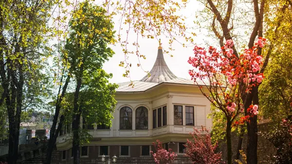 March 2026 Market Report