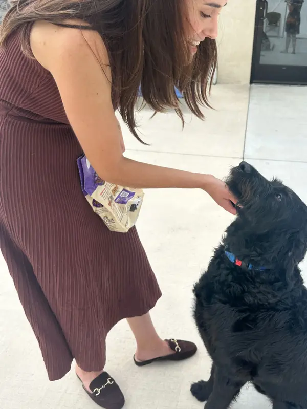 Making a Difference for Pets and Families in Lancaster County: A Conversation with Pet Pantry Lancaster
