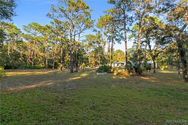 1360 S Candlenut AVE, Homosassa, FL 34448