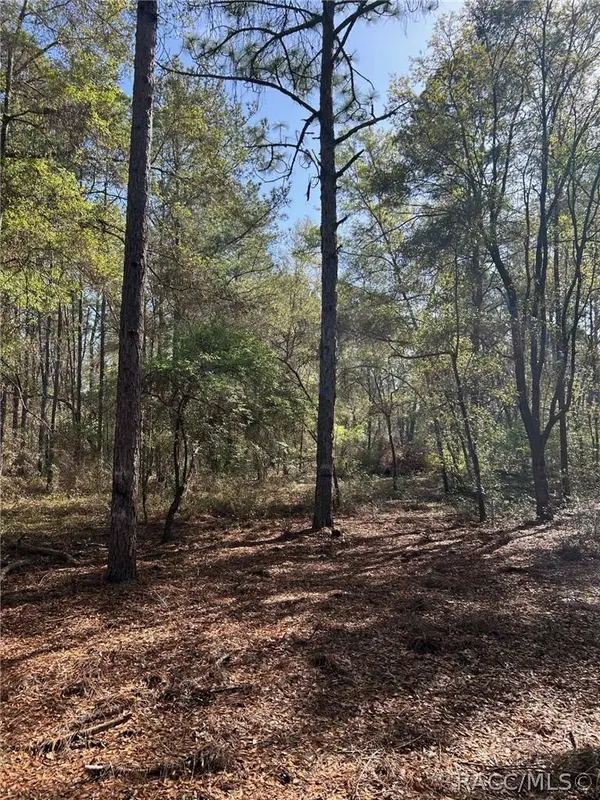 9315 N Lily DR, Citrus Springs, FL 34434