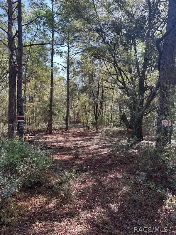 9315 N Lily DR, Citrus Springs, FL 34434