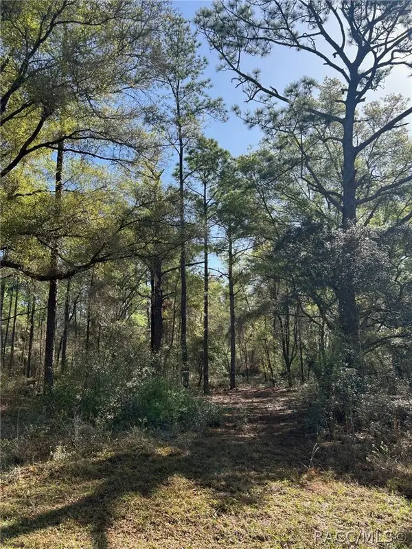 9315 N Lily DR, Citrus Springs, FL 34434