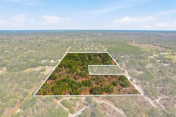 7015 S Rama AVE, Lecanto, FL 34461