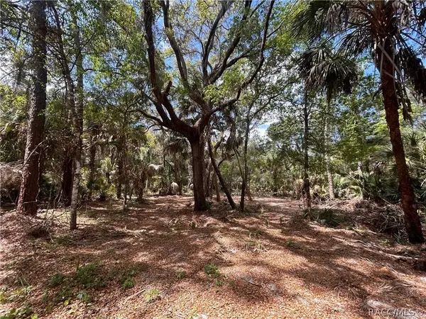 7544 N Bitterroot DR, Crystal River, FL 34428