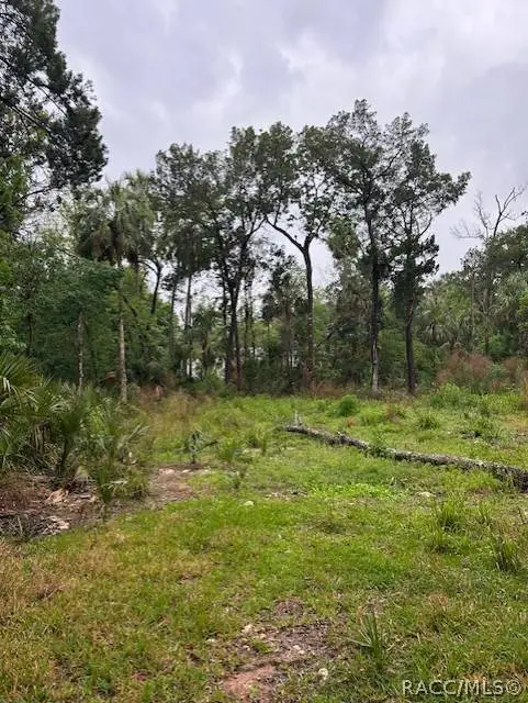 11070 W Bareto LN, Homosassa, FL 34448