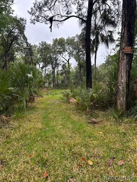 11070 W Bareto LN, Homosassa, FL 34448