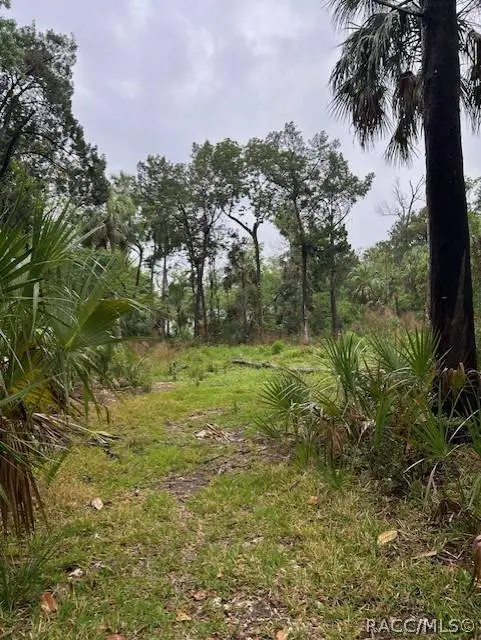 11070 W Bareto LN, Homosassa, FL 34448