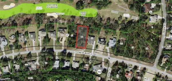 36 Cypress BLVD E, Homosassa, FL 34446