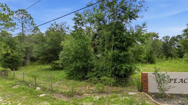 0000 Hwy 40 East, Dunnellon, FL 34431