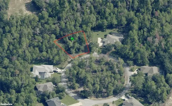 13 Dracaena CT, Homosassa, FL 34446